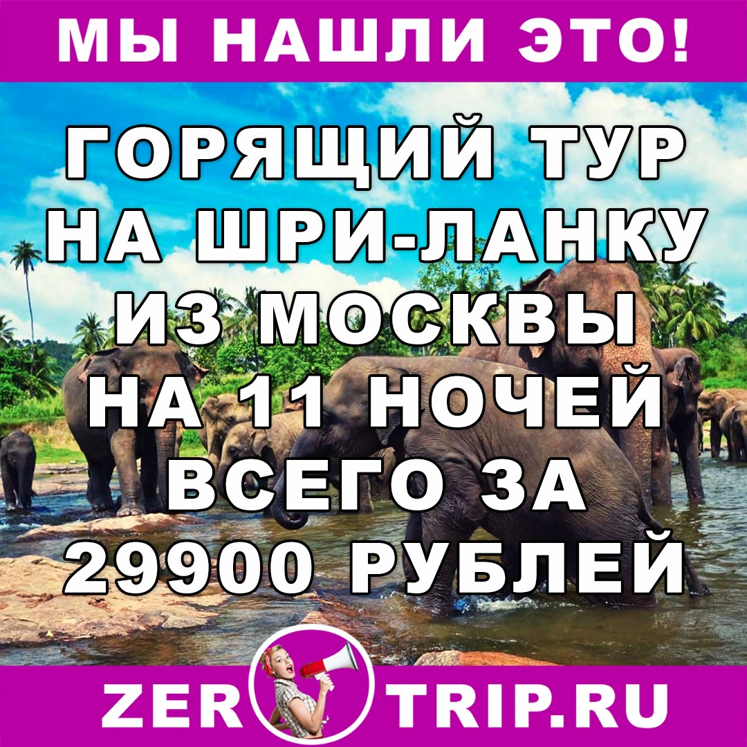 Горящий тур на Шри-Ланку из Москвы на 11 ночей всего за 29900 рублей