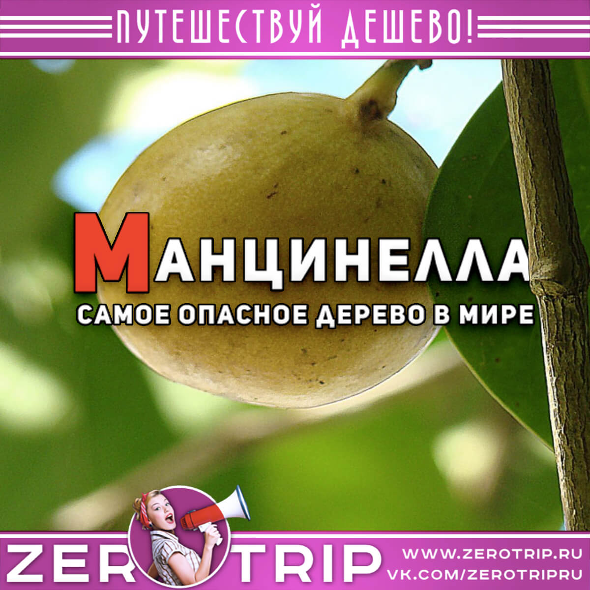Манцинелла — дерево смерти